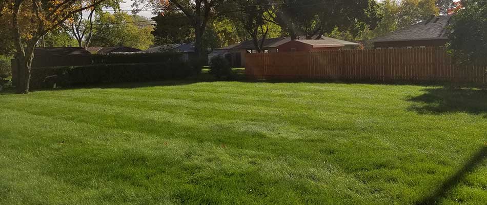 How to Get Your Lawn Prepared for 2020 | Sunset Mowing Blog